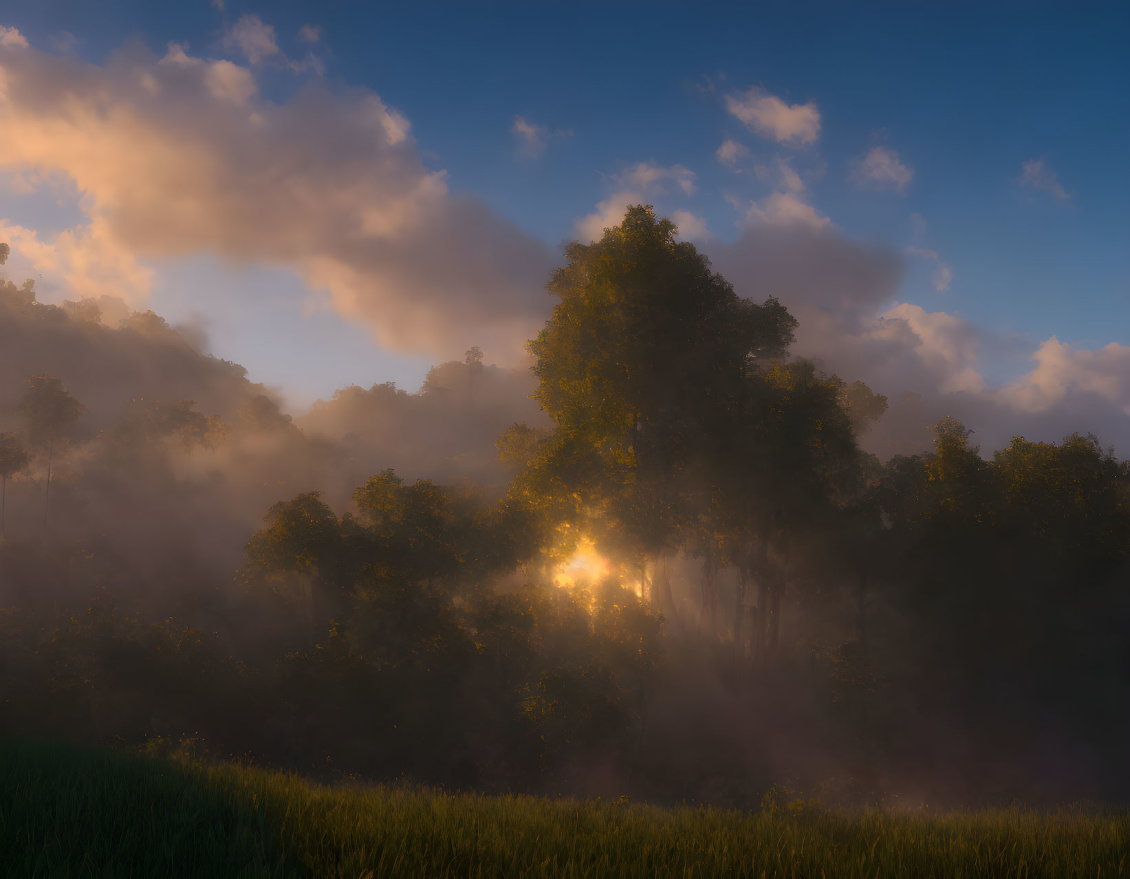 Misty forest sunrise with illuminated clouds