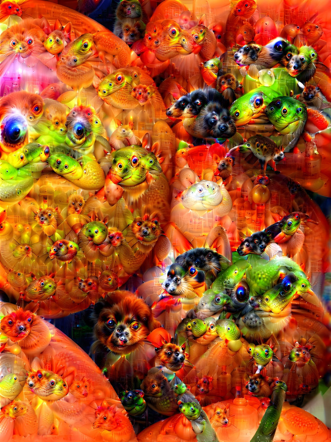 Tomato Nightmare