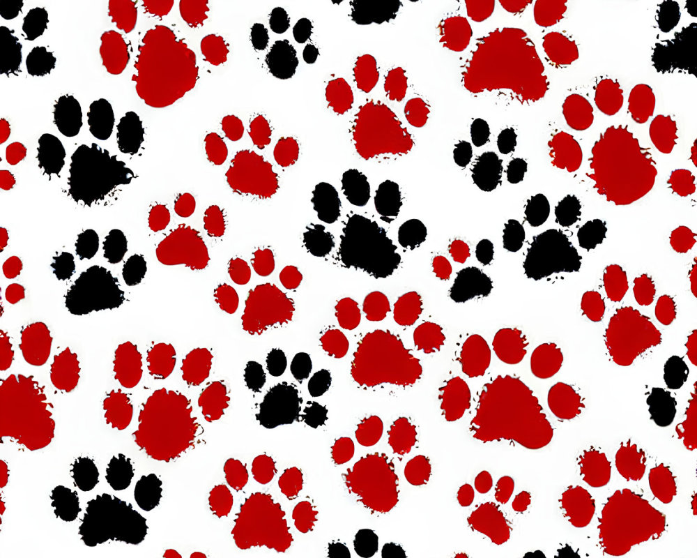 Black and Red Paw Print Pattern on White Background