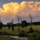 Massive Smoke Plume Over Forested Landscape & Building