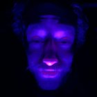 Raccoon's face illuminated in vibrant purple and blue light