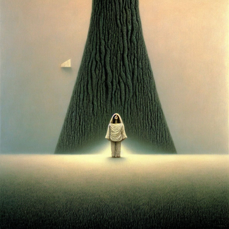 Person in white robe standing by textured tree under hazy sky with paper plane