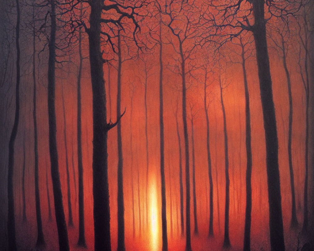 Misty forest at dusk with bare trees and orange glow