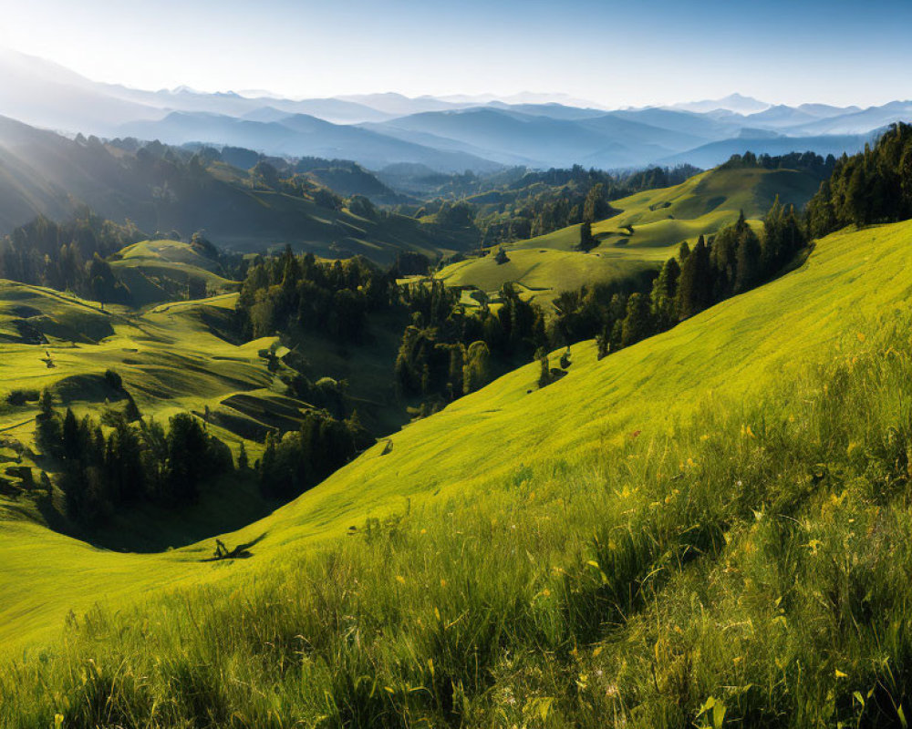 Scenic view of green hills, trees, and mountains under clear sky