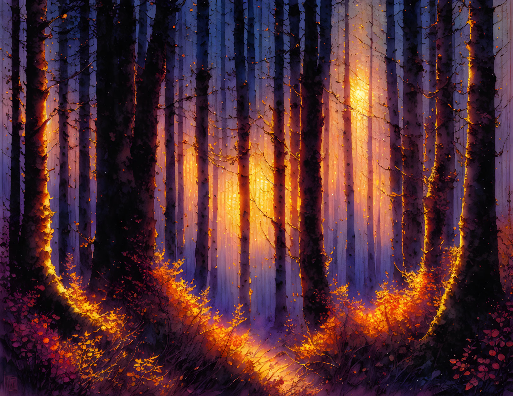 Sunlit Forest Scene with Warm Glow Through Trees