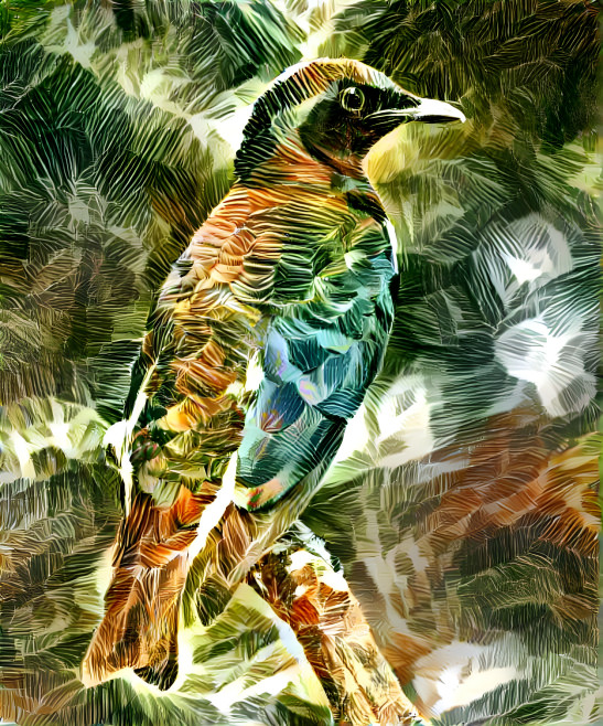 Bird