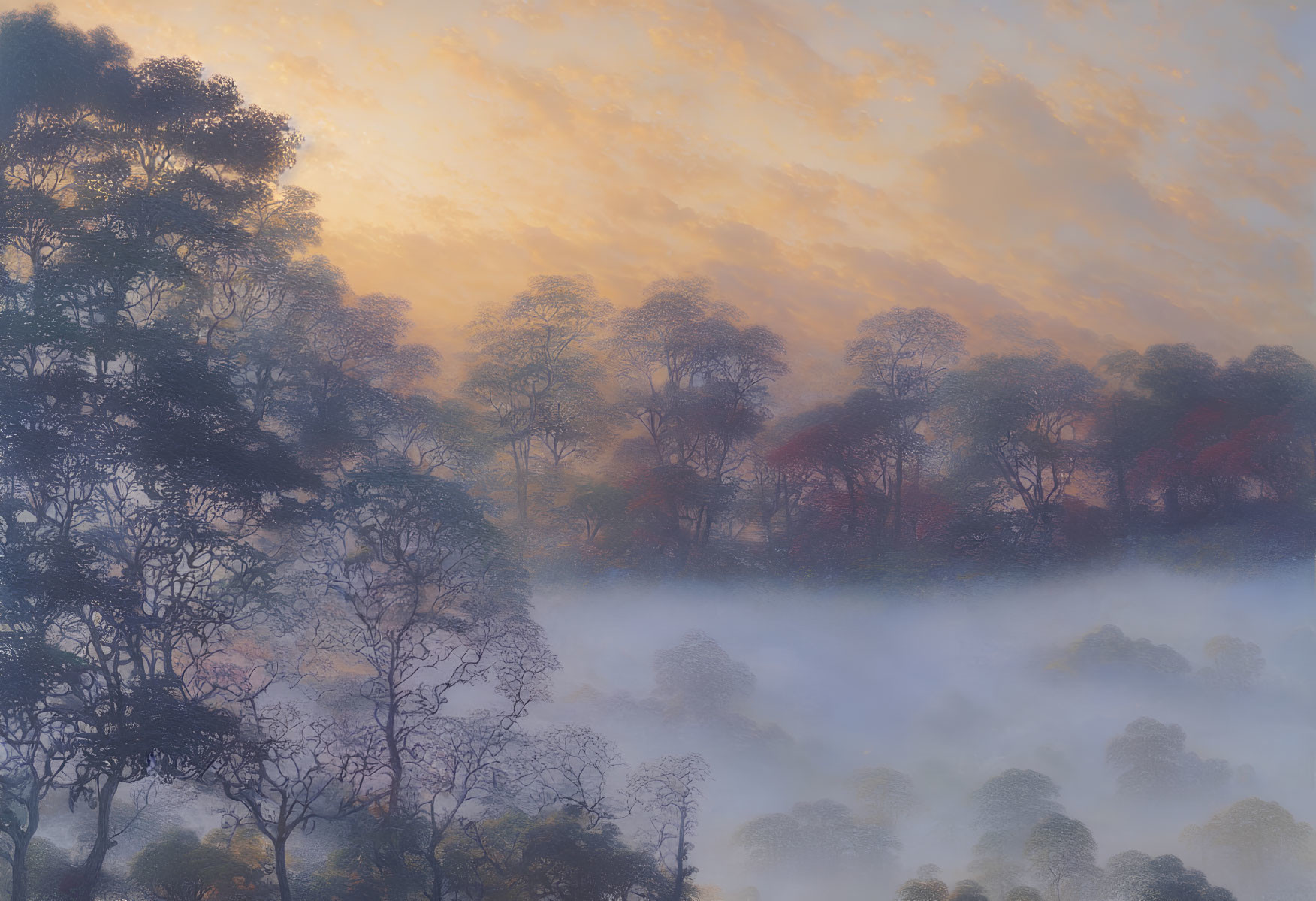 Silhouettes of Trees in Misty Forest at Sunrise