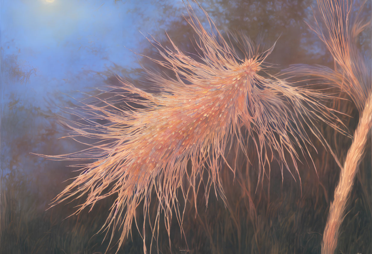 Dew-speckled pampas grass plume in warm sunlight