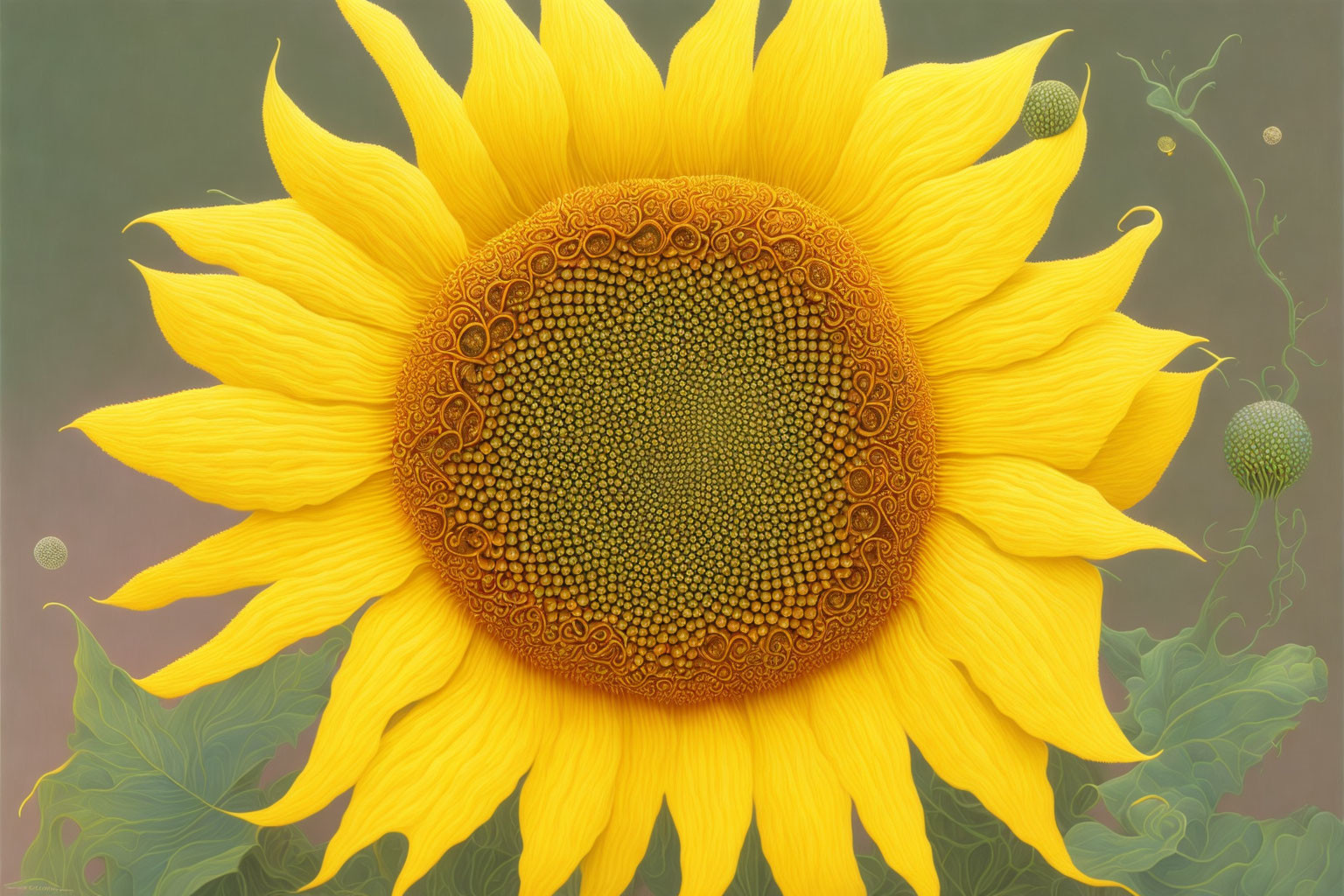 Close-up Vibrant Sunflower with Yellow Petals on Green Background