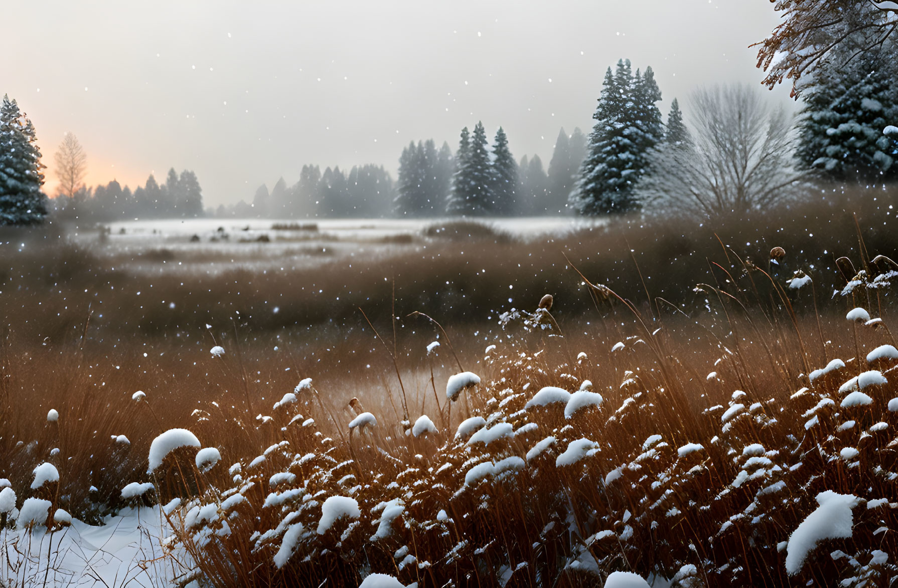 Snowy landscape at dusk with snow-covered plants and distant trees under hazy sky