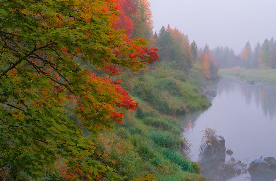 Tranquil autumn river scene with colorful foliage and morning mist