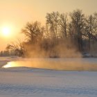 Tranquil landscape: majestic tree by serene lake at sunrise