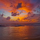 Colorful surreal landscape with golden tree and fiery sunset reflection