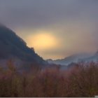 Tranquil sunset landscape with purple and yellow flora, rolling hills, and distant mountains under hazy