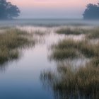 Twilight Scene of Marsh with Waterways and Grass