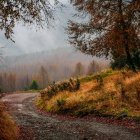 Scenic landscape with misty valley, colorful trees, grassy slope, and reflective water.