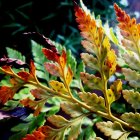 Colorful digital artwork of lush, fantastical garden with intricate plants and ferns on dark background