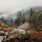 Tranquil landscape with misty hills, stream, and vibrant foliage