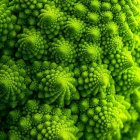 Intricate Green Fractal Design with Swirling Sphere Patterns