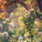 Colorful surreal forest with whimsical trees and balloon-like flowers under dreamy sky