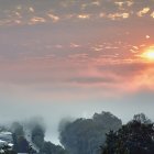 Tranquil sunrise landscape with pink clouds, misty mountains, and blue-flowered tree