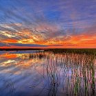 Colorful landscape painting: swirling orange and blue skies over tranquil water, flora, and pebbles