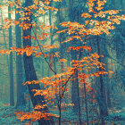 Vibrant forest scene with orange leaves and misty blue atmosphere