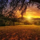 Colorful sunset landscape with vibrant flora and rolling hills at twilight