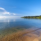 Tranquil landscape with calm sea, lush forest, and full moon