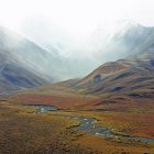 Fantastical landscape with hills, forests, mountains, and illuminated homes