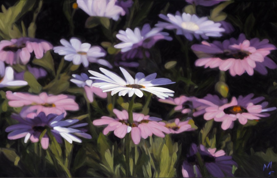 Assorted daisy-like flowers painting with white and pink petals