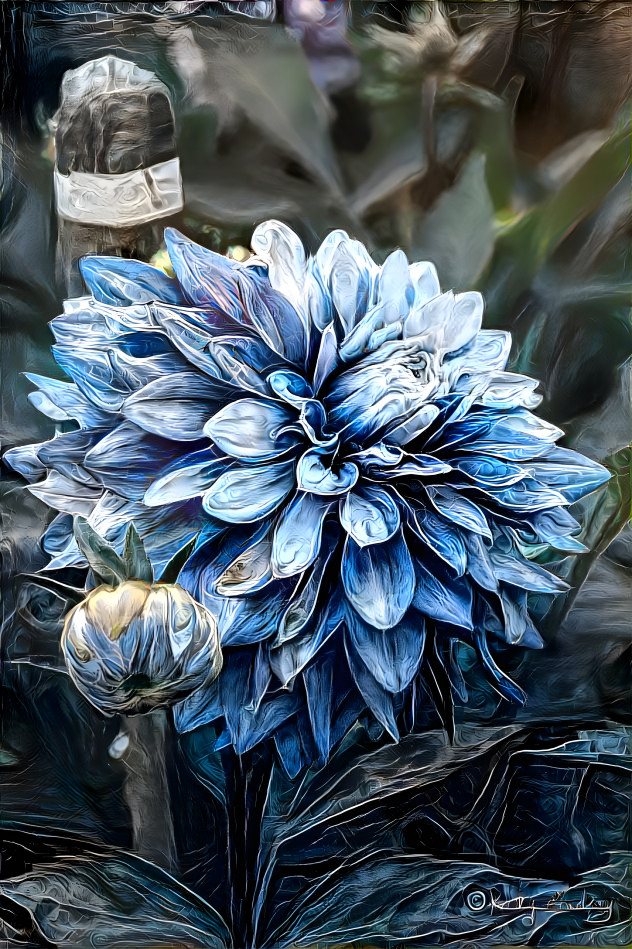 blue Dalilah 