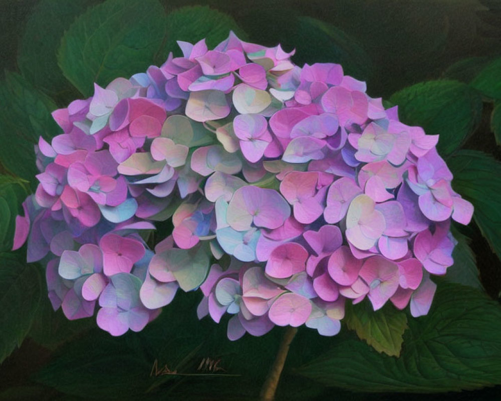 Colorful Hydrangea Painting with Pink and Blue Blossoms on Green Leaves