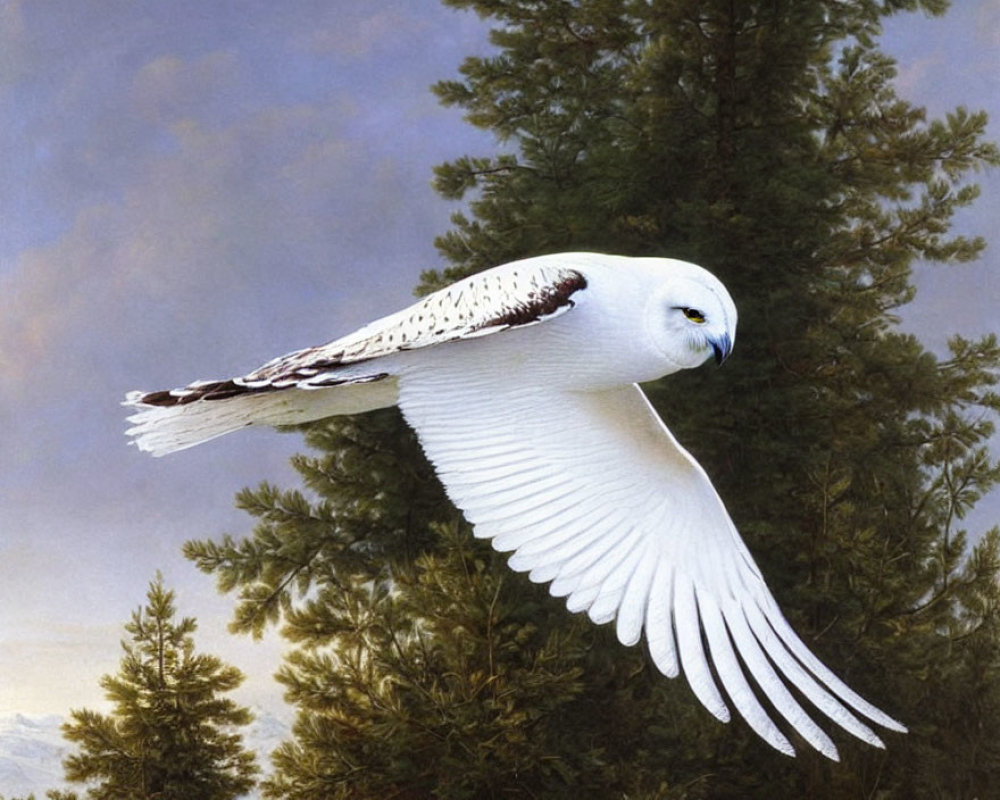 Snowy owl soaring with outstretched wings in forest setting