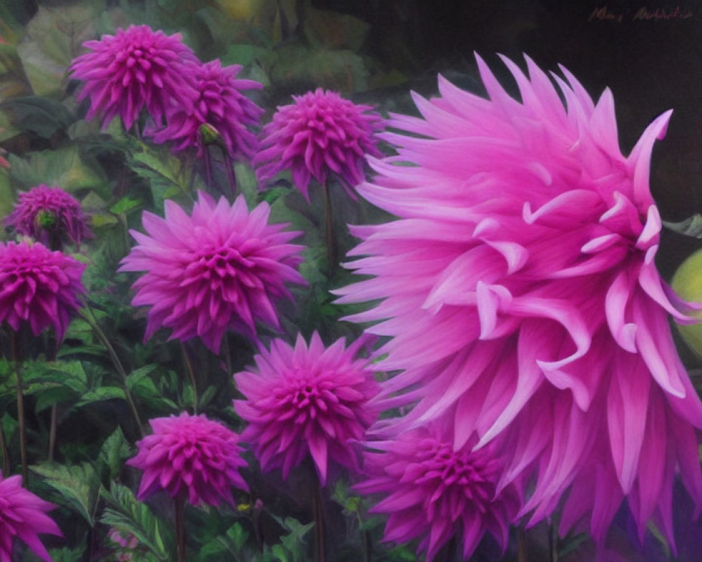 Detailed pink dahlias painting with green foliage and glowing orb