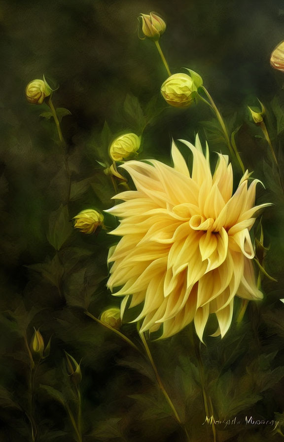 Intricate yellow dahlia flower with green stems and buds on dark background