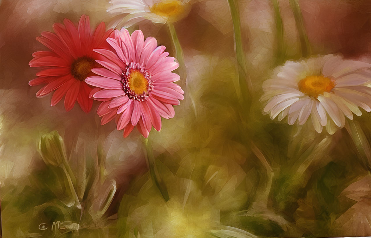 Vibrant Pink and White Daisies Digital Painting