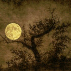 Barren tree painting under dark sky with bright moon