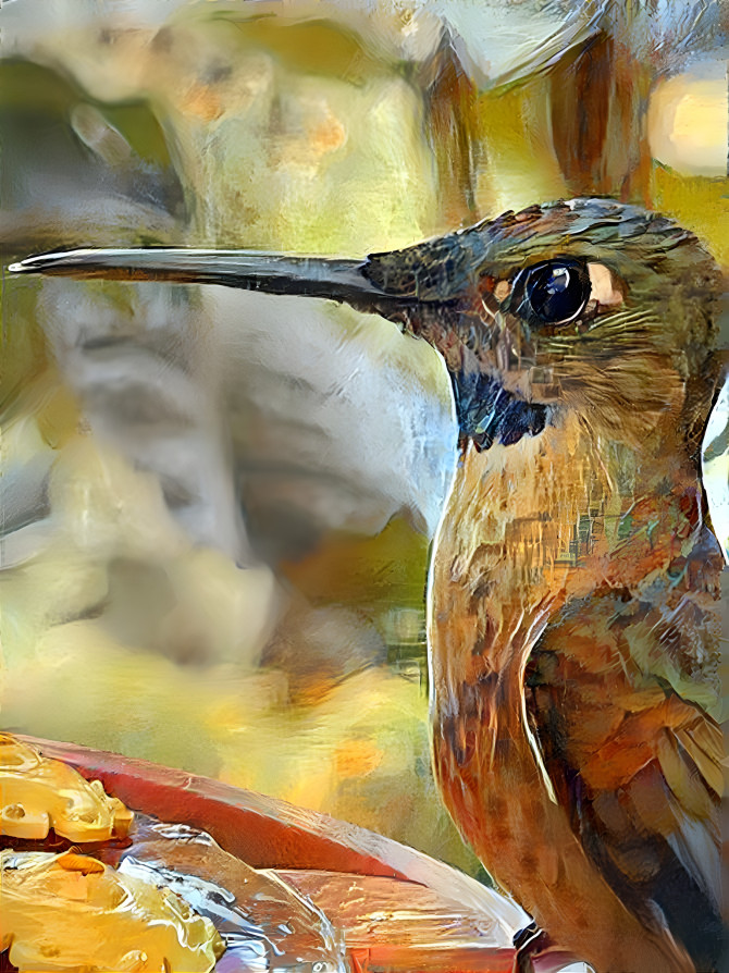 Hummingbird 6