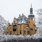 Blue-roofed fairytale castle amidst snow-covered trees