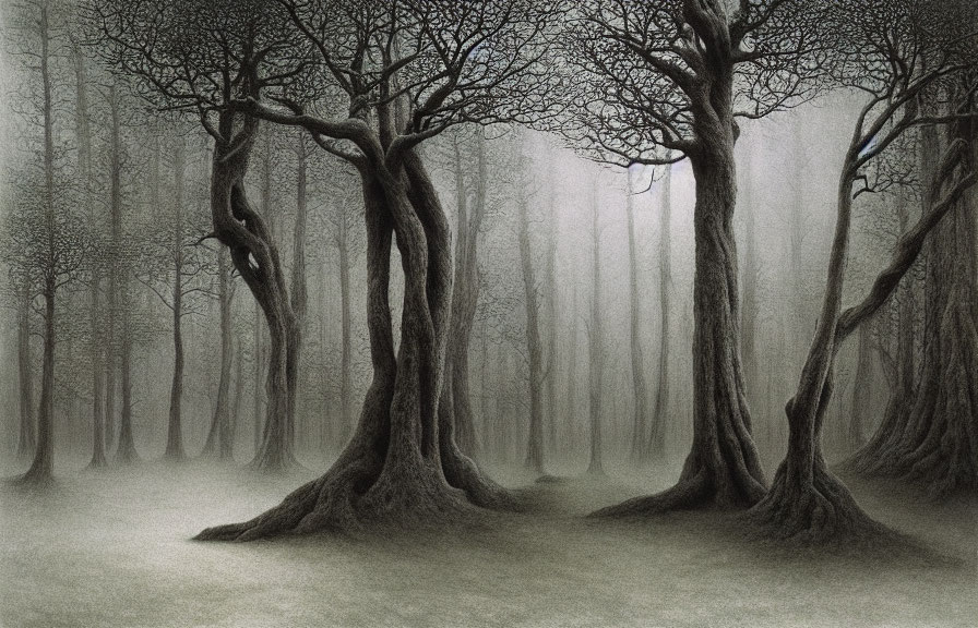 Monochrome drawing of misty forest with gnarled trees