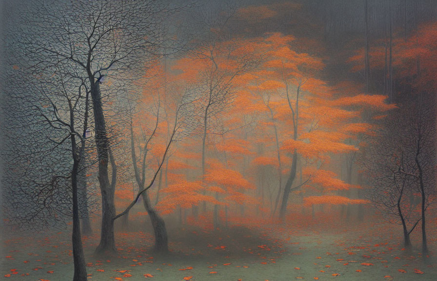 Misty forest with bare and orange-leaved trees in autumn