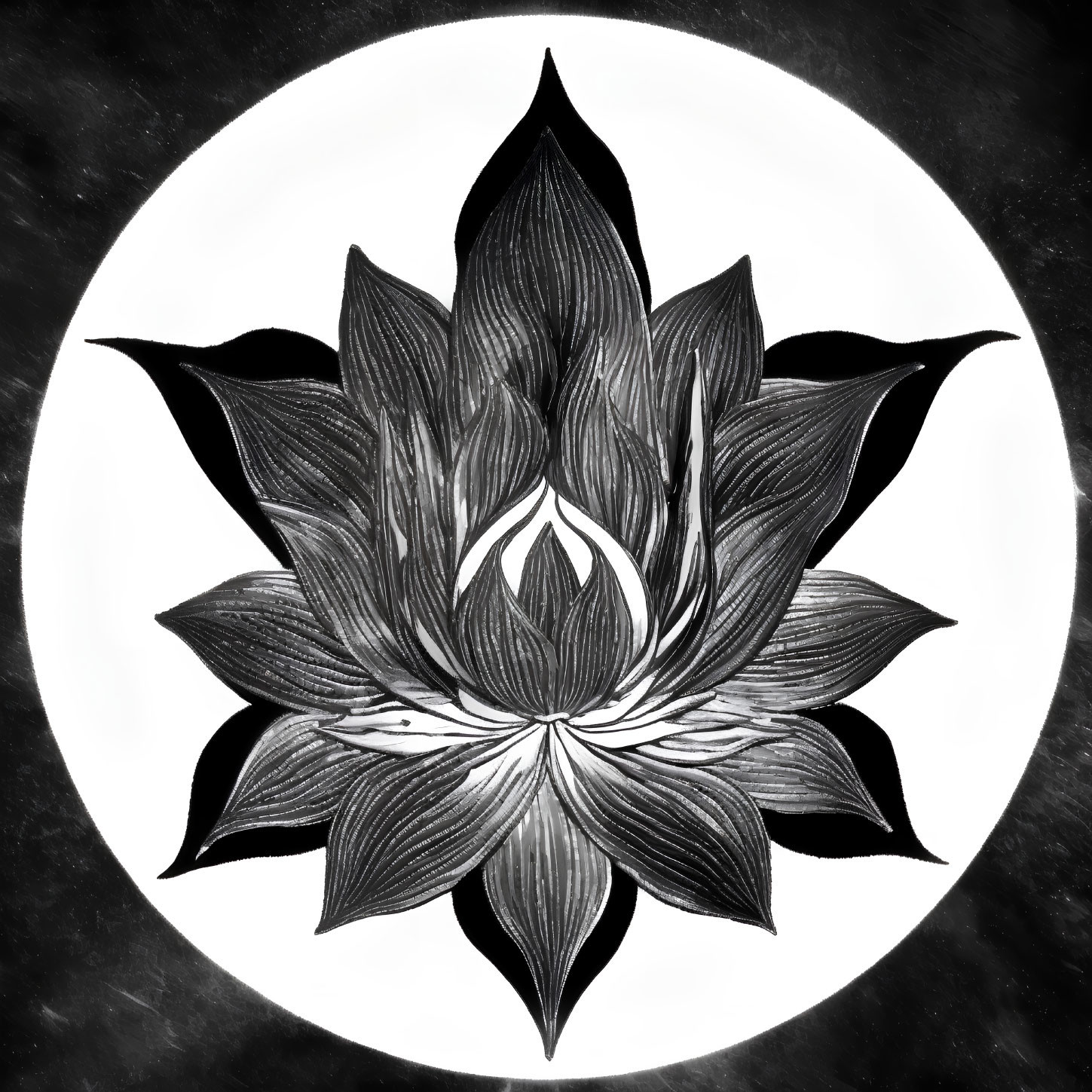 Symmetrical Lotus Flower Illustration in Circular Frame