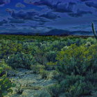 Nocturnal desert landscape with cacti under starry sky