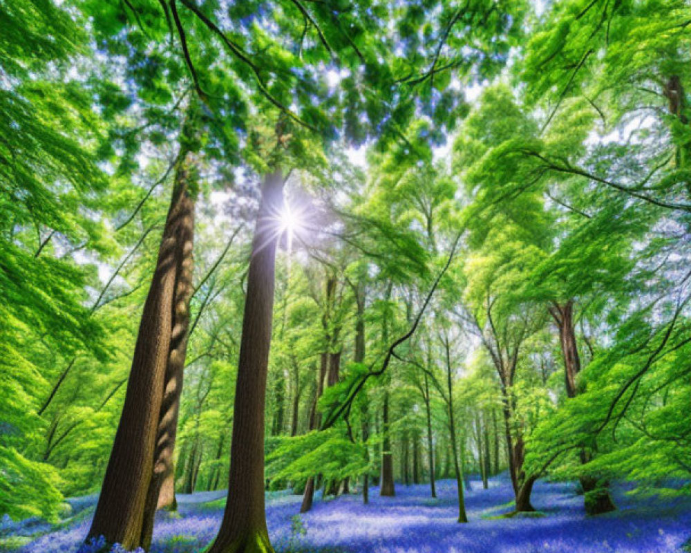 Lush green forest with vibrant bluebells under sunlight