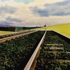 Curving railroad tracks in lush green field under sunset sky