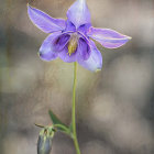 Surreal illustration of figure in purple floral hat with golden leaf backdrop