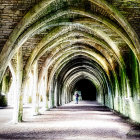 Intricate Green Designs in Artistic Tunnel Merge Architecture with Nature