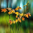 Lush Forest Scene with Orange Leaves and Butterflies