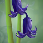 Vibrant purple flowers with silky petals on green stems.